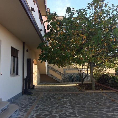 B&B "Croce Nivera" Вибо-Валентия Экстерьер фото