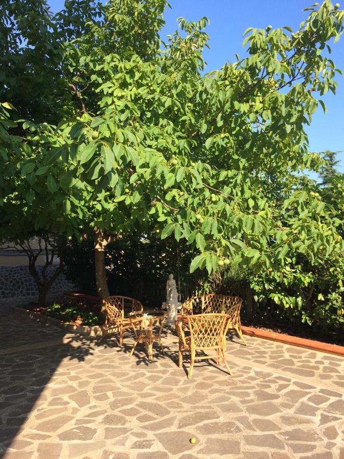 B&B "Croce Nivera" Вибо-Валентия Экстерьер фото