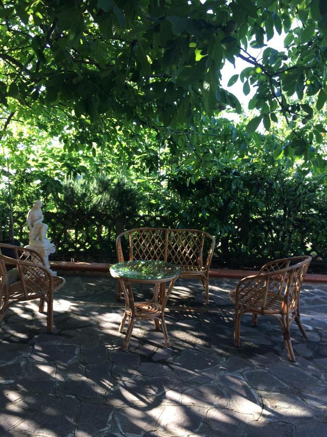 B&B "Croce Nivera" Вибо-Валентия Экстерьер фото